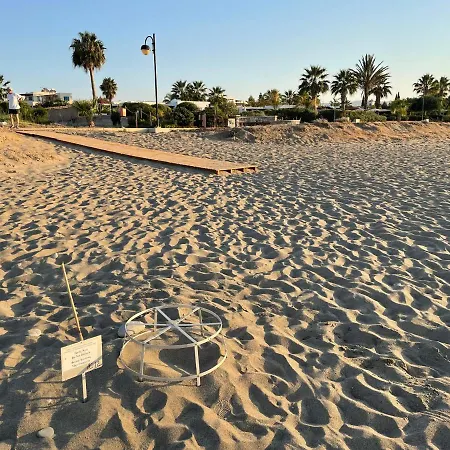 فيلة Ilios Akti لاشي